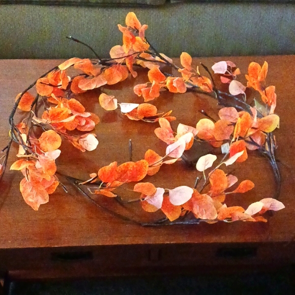 Plow & Hearth 6 ft Fall Eucalyptus Garland with 48 LED Lights & battery timer - Picture 3 of 7